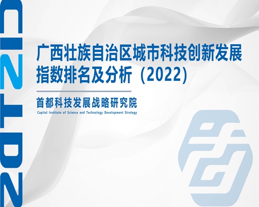 插入逼av【成果发布】广西壮族自治区城市科技创新发展指数排名及分析（2022）